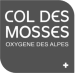 Logo du Col des Mosses. Pixium